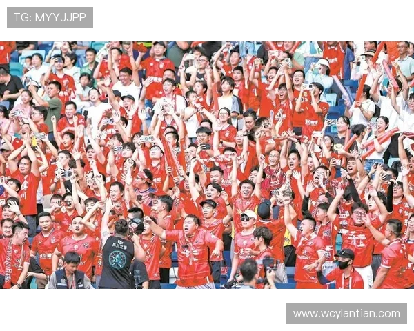 足球世界的魅力：从赛场传奇到球迷文化的全方位解析与未来趋势展望