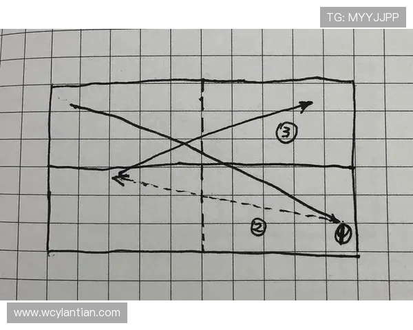 乒乓球技术与战术的完美融合：从基础到进阶的全面提升策略