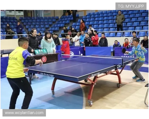 乒乓球技术创新与发展趋势分析：从基础训练到高水平竞技的全面解析