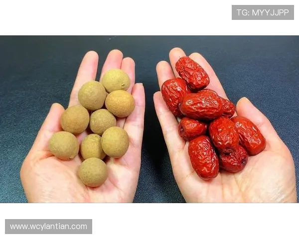 乒乓球技术与战术解析：从基础技巧到高水平对抗的全面指南