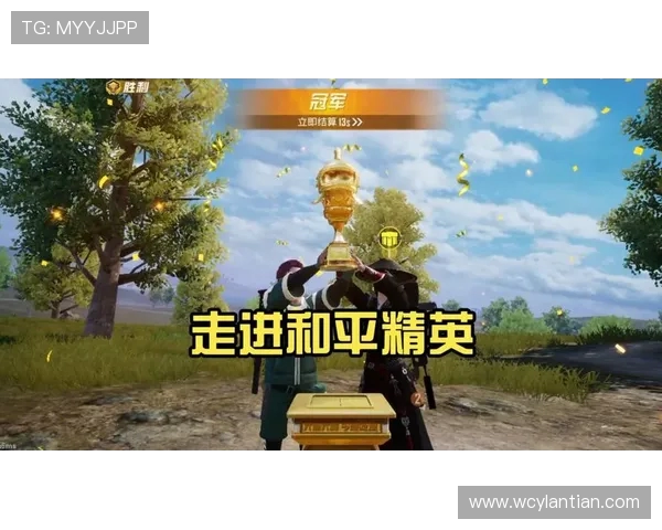 专访李磊揭秘和平精英成功背后的策略与创新之路