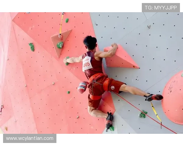 武汉攀岩队实力不俗荣登全国攀岩力量排行榜第九名