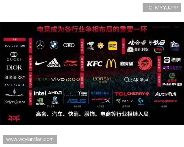 深入分析JDG战队的技术策略与团队协作在英雄联盟中的应用与成就 深入分析JDG战队的技术策略与团队协作在英雄联盟中的应用与成就