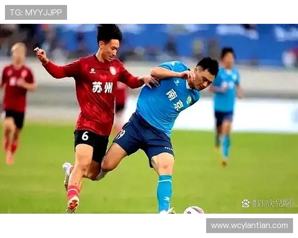 赛后分析：北京足球队与南京足球队的速度对决全景回顾