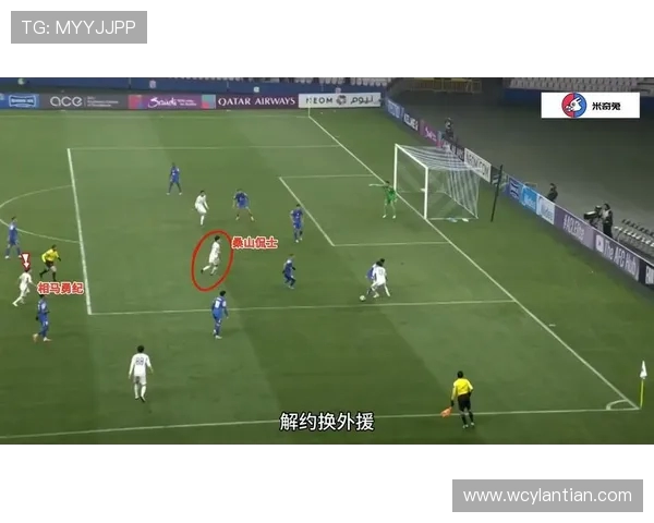 2017年辽宁足球队对阵申花精彩直播回顾与赛后分析