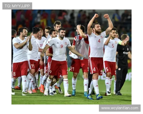 丹麦与格鲁吉亚足球比赛精彩直播全程回顾与分析