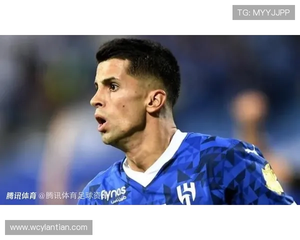 坎塞洛在足球赛场的表现分析与未来发展潜力探讨