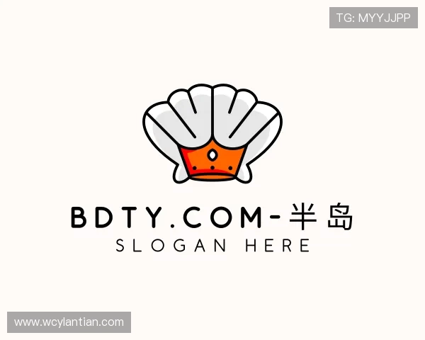 解读bdty