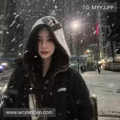 汪想静